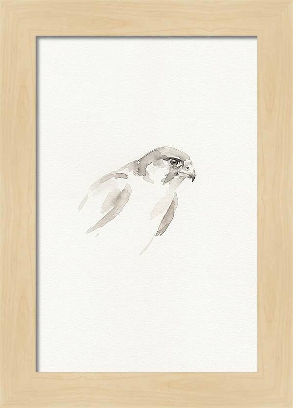 Merlin In Minimalist Style