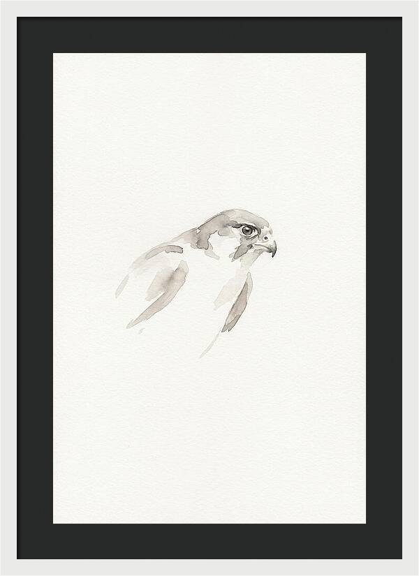 Merlin In Minimalist Style