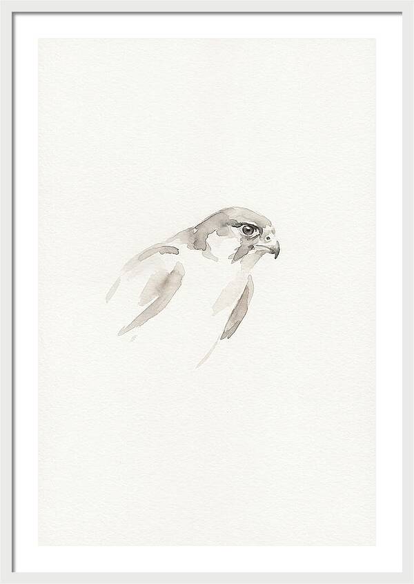 Merlin In Minimalist Style