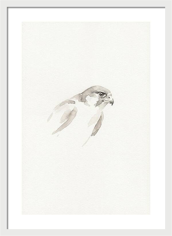 Merlin In Minimalist Style