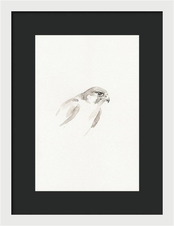 Merlin In Minimalist Style