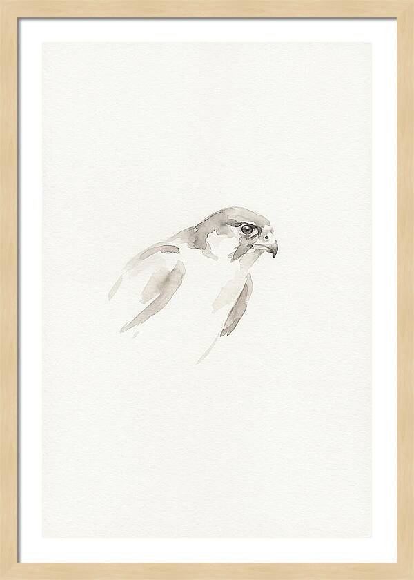 Merlin In Minimalist Style