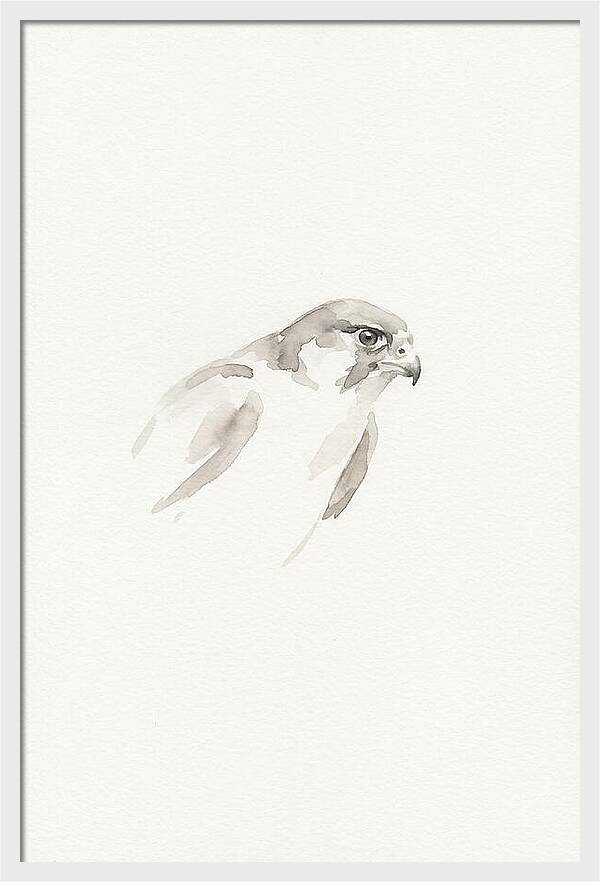 Merlin In Minimalist Style