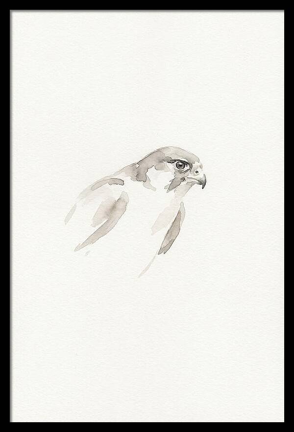 Merlin In Minimalist Style