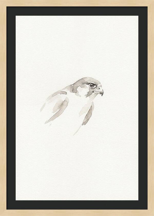 Merlin In Minimalist Style