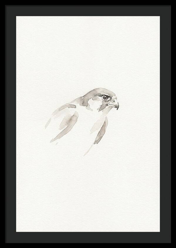 Merlin In Minimalist Style