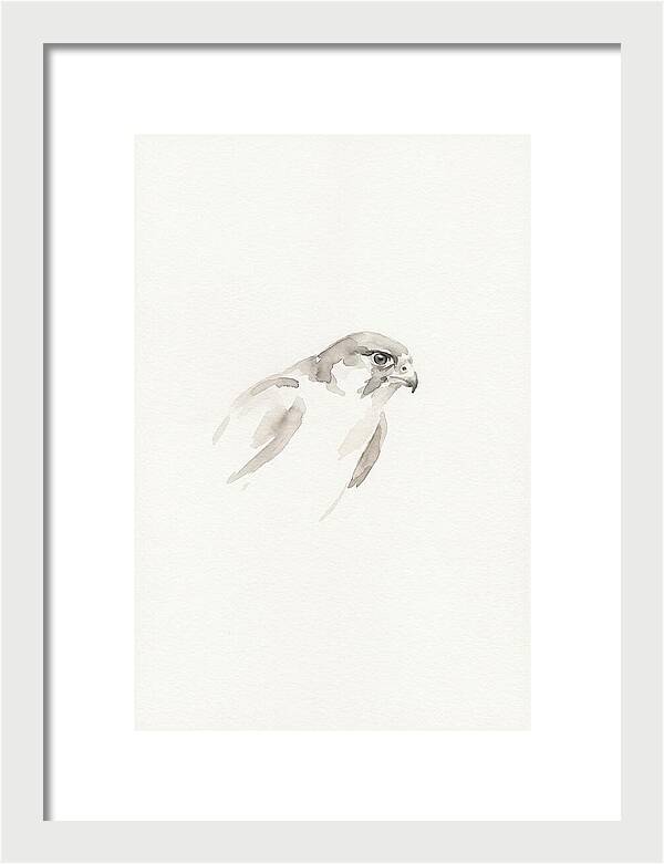 Merlin In Minimalist Style