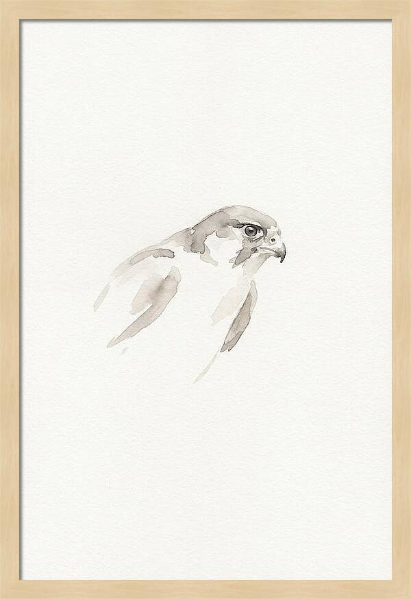 Merlin In Minimalist Style