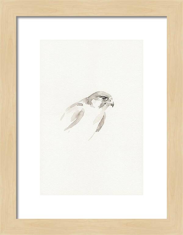 Merlin In Minimalist Style