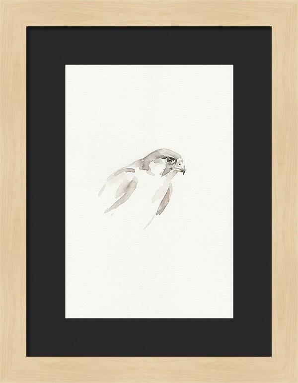 Merlin In Minimalist Style