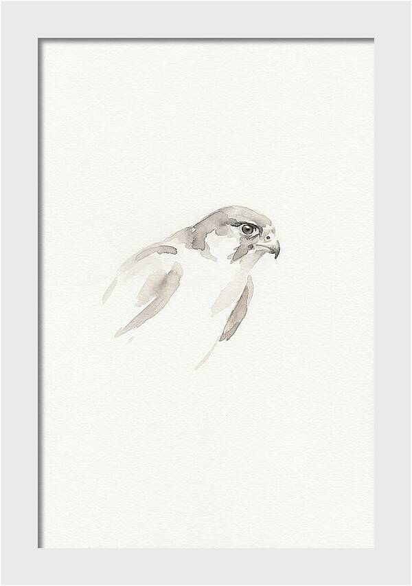 Merlin In Minimalist Style