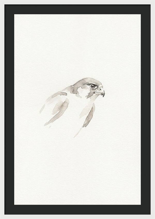 Merlin In Minimalist Style