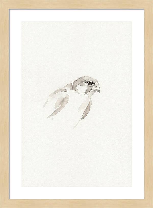 Merlin In Minimalist Style