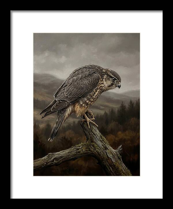 Merlin Perched In Nature