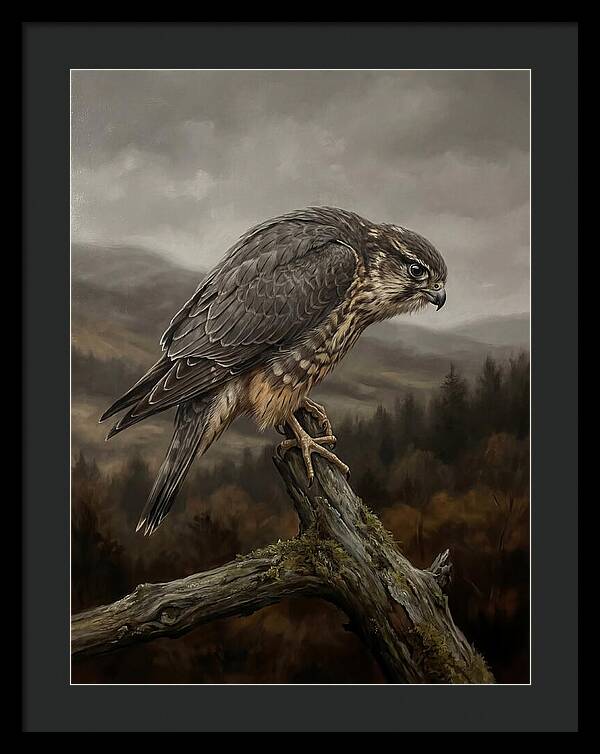 Merlin Perched In Nature