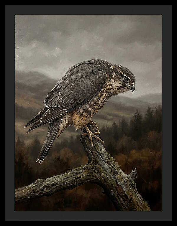 Merlin Perched In Nature