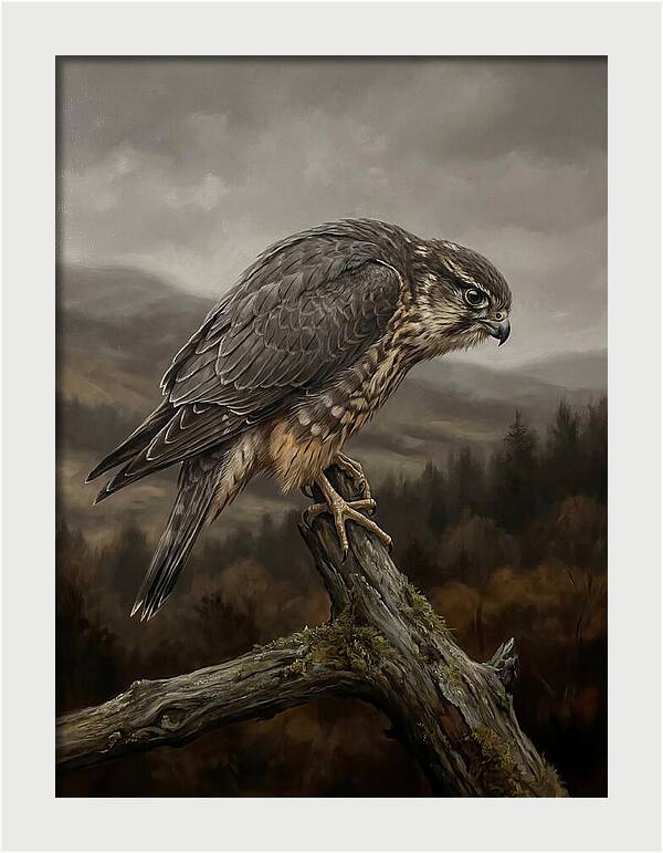 Merlin Perched In Nature