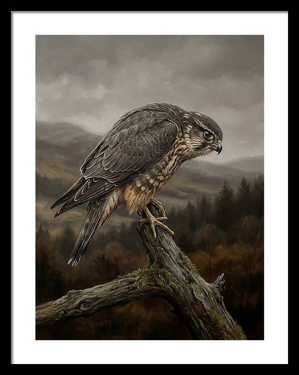 Merlin Perched In Nature