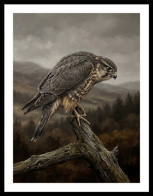 Merlin Perched In Nature