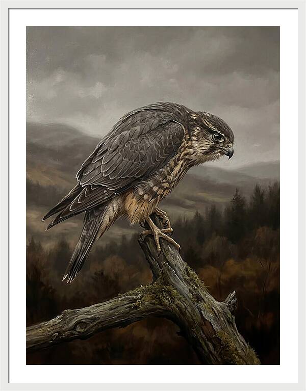 Merlin Perched In Nature