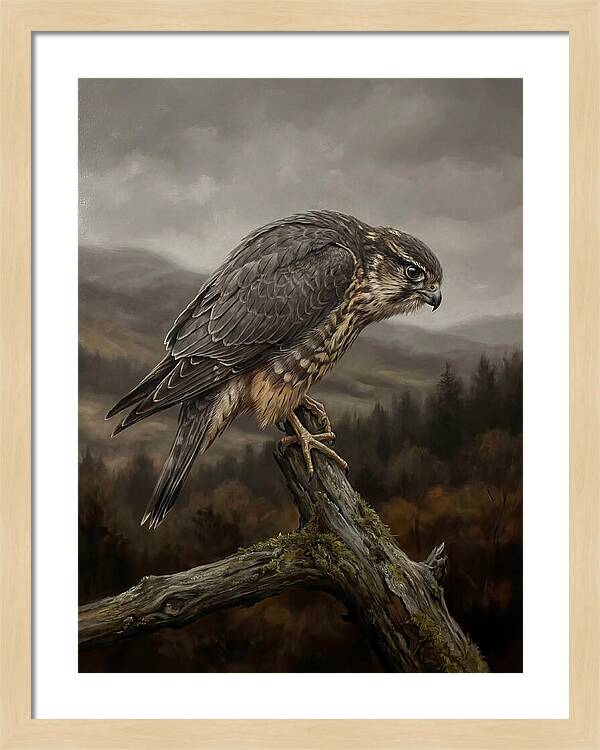 Merlin Perched In Nature