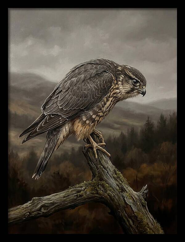 Merlin Perched In Nature