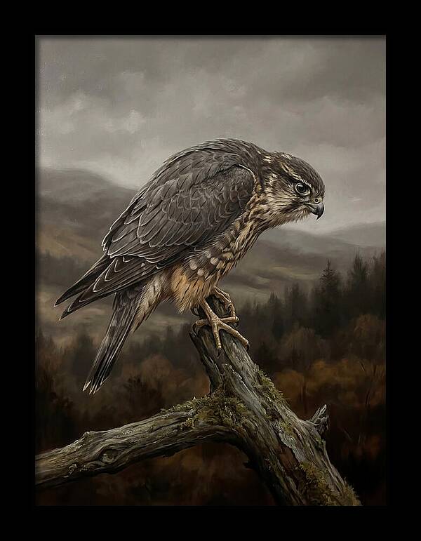 Merlin Perched In Nature