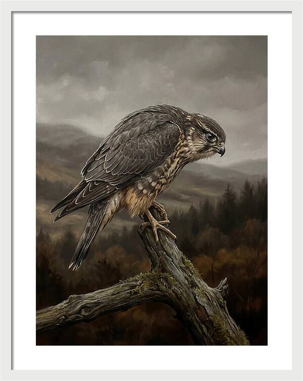 Merlin Perched In Nature