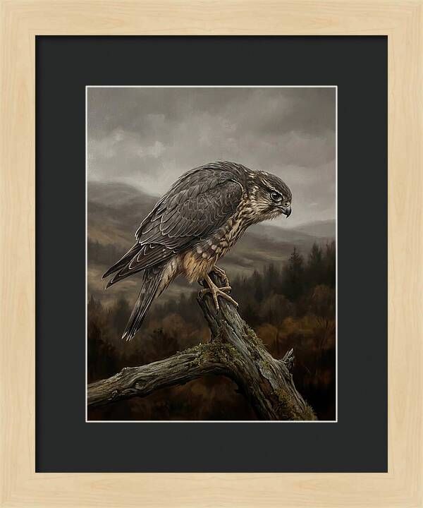 Merlin Perched In Nature