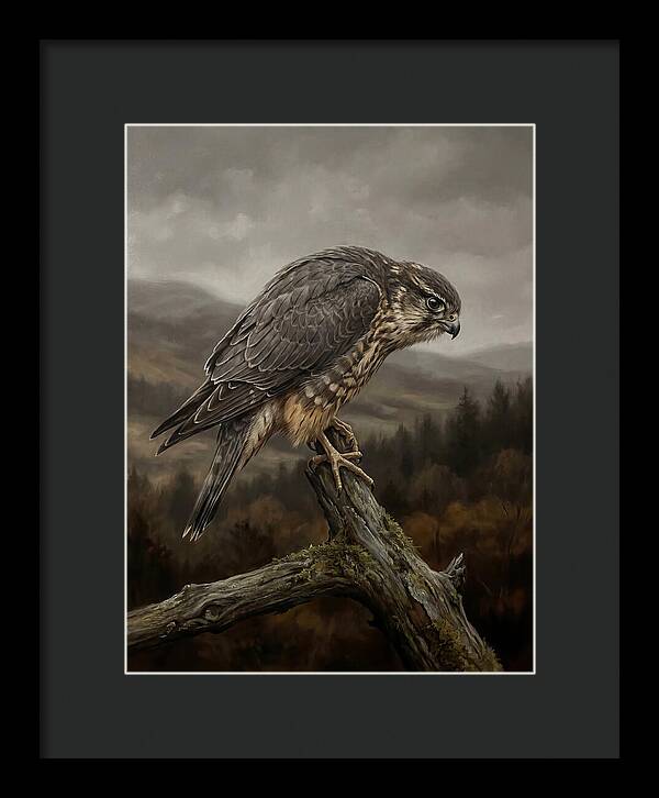 Merlin Perched In Nature