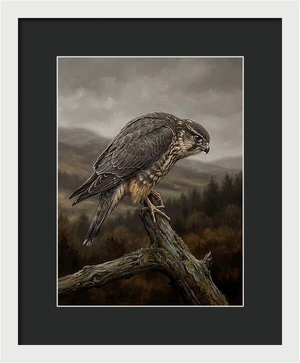 Merlin Perched In Nature
