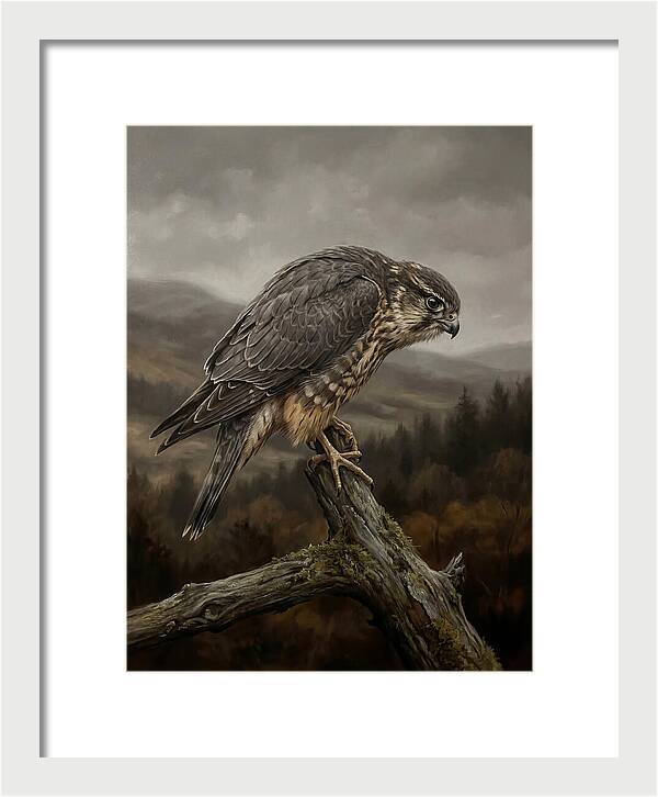 Merlin Perched In Nature