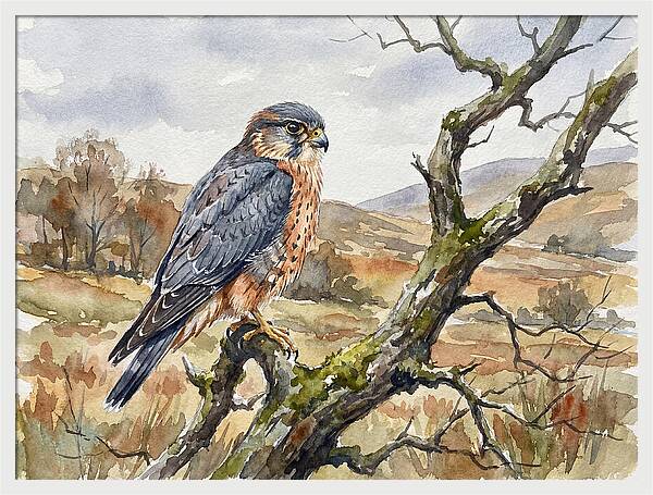 Merlin Perched On A Branch