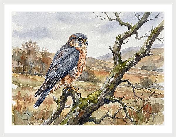 Merlin Perched On A Branch