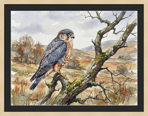 Merlin Perched On A Branch