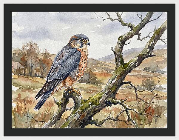 Merlin Perched On A Branch