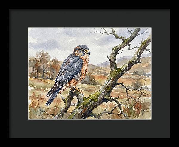 Merlin Perched On A Branch