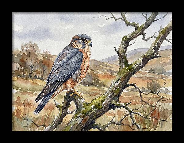 Merlin Perched On A Branch