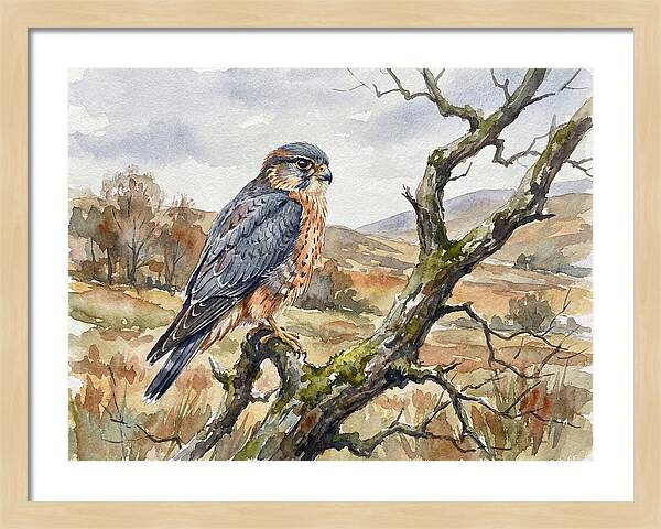 Merlin Perched On A Branch