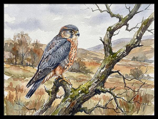 Merlin Perched On A Branch