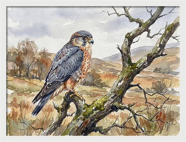Merlin Perched On A Branch
