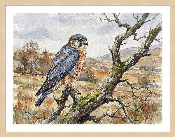 Merlin Perched On A Branch