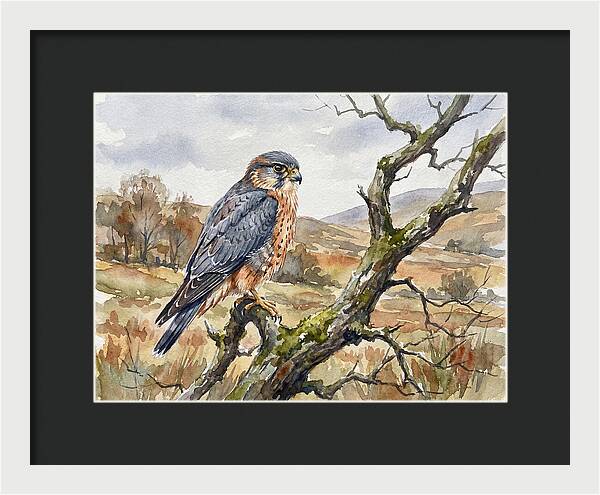 Merlin Perched On A Branch