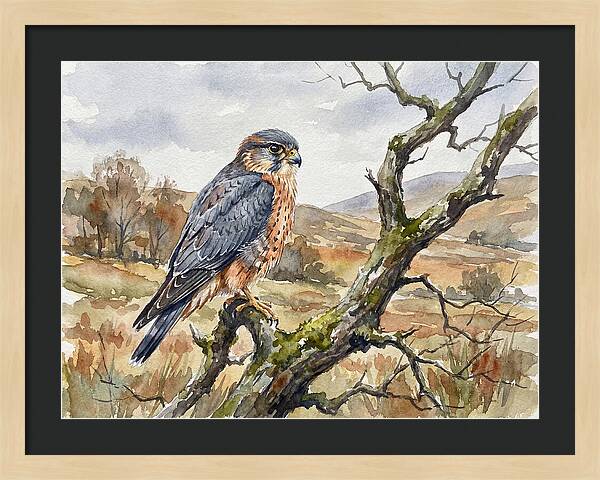 Merlin Perched On A Branch