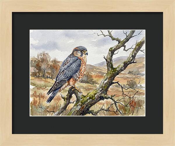 Merlin Perched On A Branch