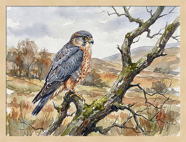 Merlin Perched On A Branch
