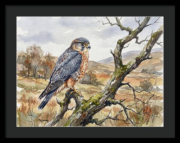 Merlin Perched On A Branch