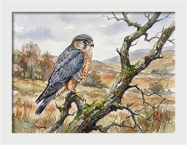 Merlin Perched On A Branch