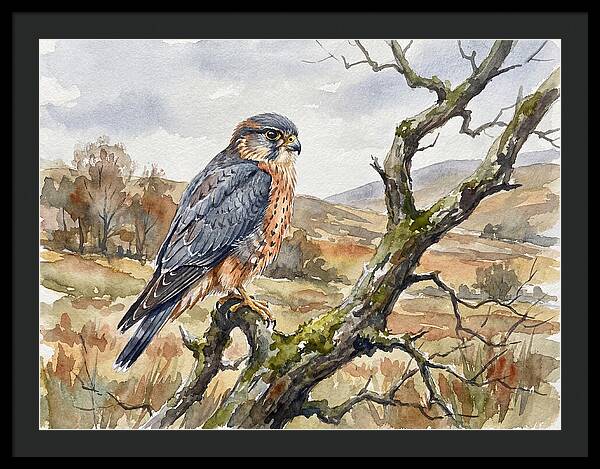 Merlin Perched On A Branch
