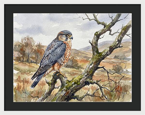 Merlin Perched On A Branch